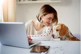 How Pets Help To Reduce Stress