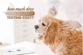 Does Pet Insurance Cover Allergies?