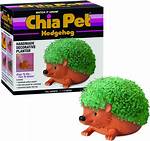 How to Water a Chia Pet