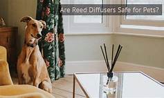 Are Reed Diffusers Safe for Pets?