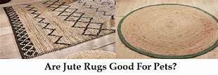 Are Jute Rugs Good for Pets?