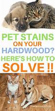 How to Get Rid of Pet Stains on Wood Floors