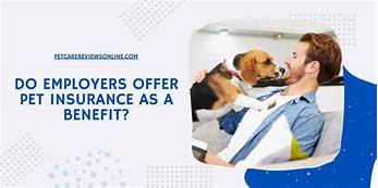 Do Some Employers Offer Pet Insurance as a Benefit?