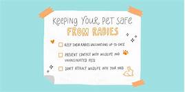 How Pets Catch Rabies