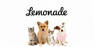 How Much Does Lemonade Pet Insurance Cost?
