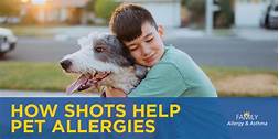 How to Help with Pet Allergies