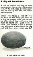 How to Take Care of a Pet Rock