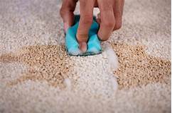 How to Get Rid of Old Pet Stains in Carpet