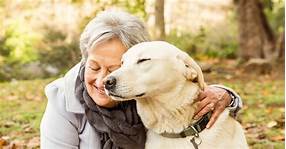 How Do Pets Provide Companionship?