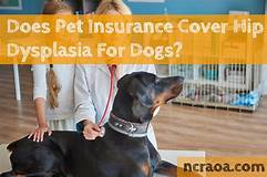 Does Pet Insurance Cover Hip Dysplasia?