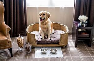 Does Travelodge Allow Pets?