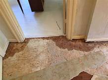 How to Clean Subfloor from Pet Urine