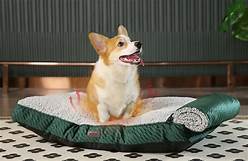 How Do Self Warming Pet Beds Work?