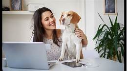 Can You Claim Pets on Income Tax?