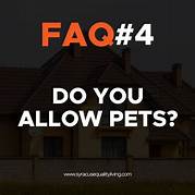 Are ESAs Allowed in No Pet Apartments?