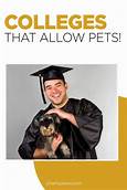 Do Any Colleges Allow Pets?