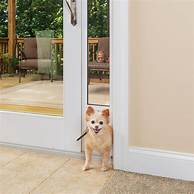 Are Pet Doors Safe?