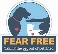 How is Fear Free Beneficial for the Pet