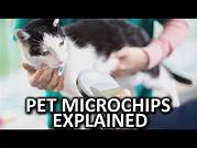 Do Pet Microchips Expire?