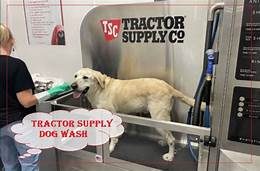 Does Every Tractor Supply Have a Pet Wash Station? Everything You Need to Know