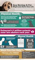 How Pets Help Mental Health