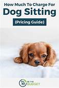 How Much to Charge for Overnight Pet Sitting