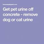 How to Remove Pet Urine from Concrete