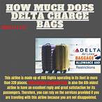 How Much Does Delta Charge for Pets?