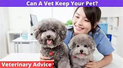 Can a Vet Take Your Pet Away from You?