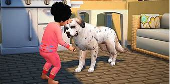 Can You Get Pets in Sims 4?