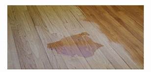 How to Remove Pet Urine from Hardwood Floors