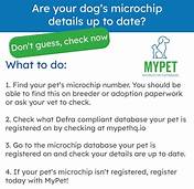 How to Change Owner Information on Pet Microchip