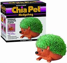 Do You Trim Chia Pets?