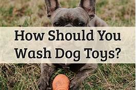 How to Wash Pet Toys