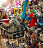 Is HomeGoods Pet Friendly?