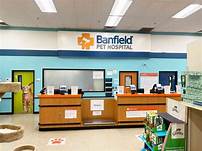Does Banfield Pet Hospital Take Care Credit?