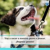 How to Say "Pets" in Spanish