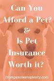 How Soon Can You Use Pet Insurance?