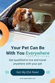 How to Get Your Pet ESA Certified