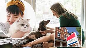 Can You Stop Tenants Having Pets?