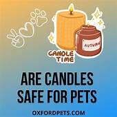 Are Candles Safe for Pets?