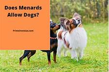 Does Menards Allow Pets?