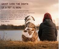How to Deal with the Grief and Loss of a Pet