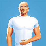 Is Mr. Clean Pet Safe?