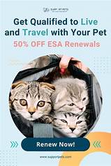 Can You Be Charged Pet Rent for an ESA?