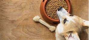 Can You Buy Pet Food with Snap?