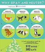 The Benefits of Spaying and Neutering Your Pet