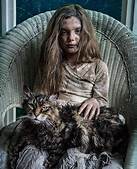 Is There a New Pet Sematary Coming Out?