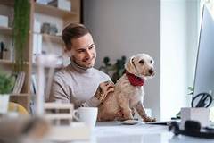 What Does Pet Rent Cover?