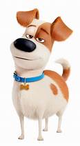 What Breed is Max from Secret Life of Pets?